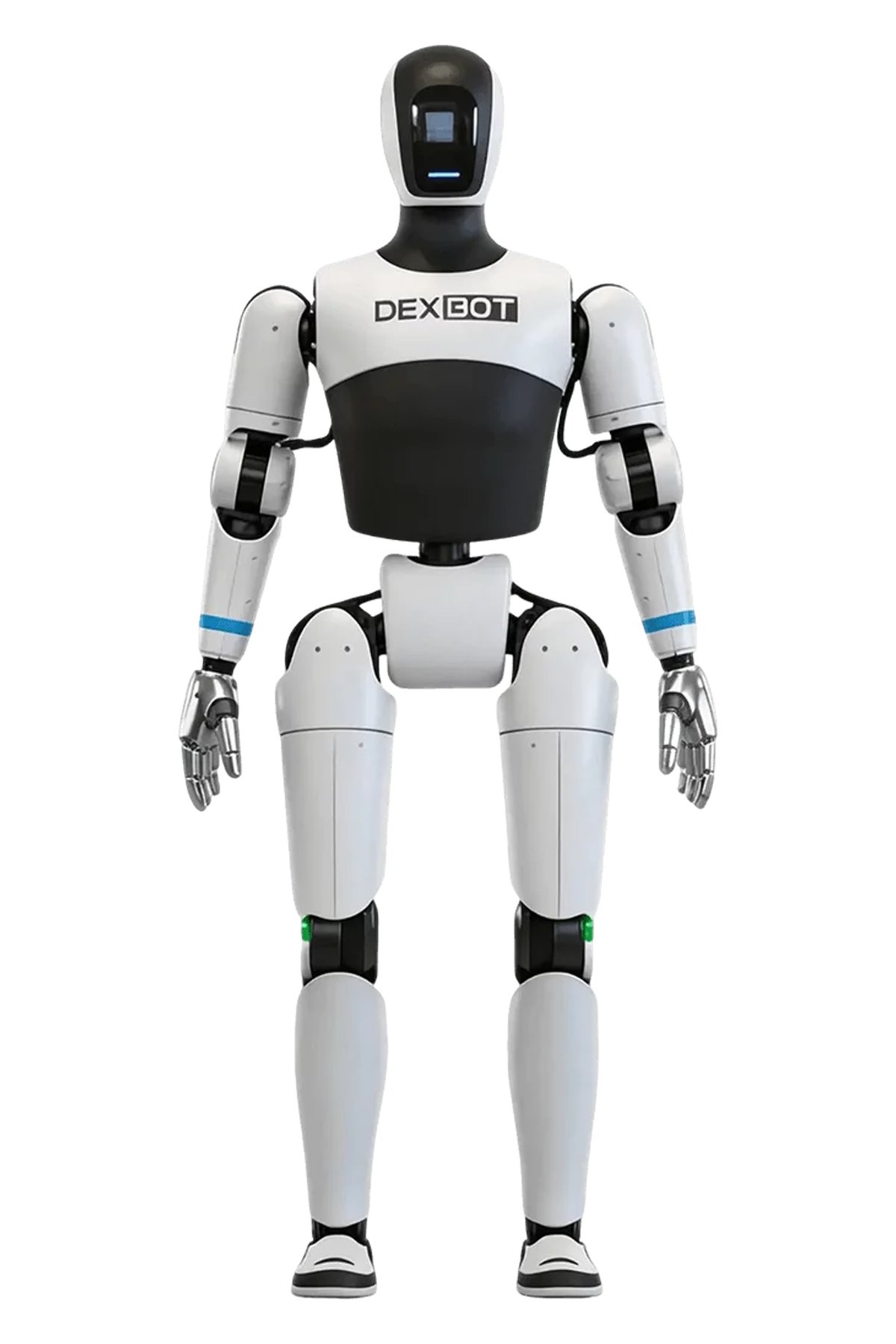  DexBot