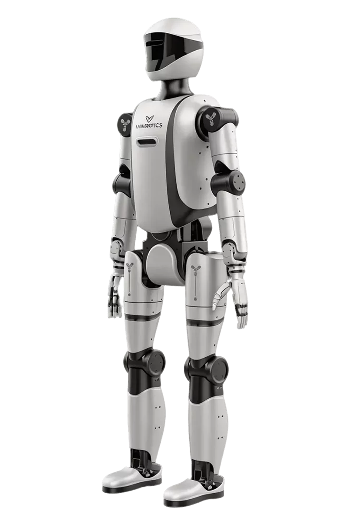  VR-M2