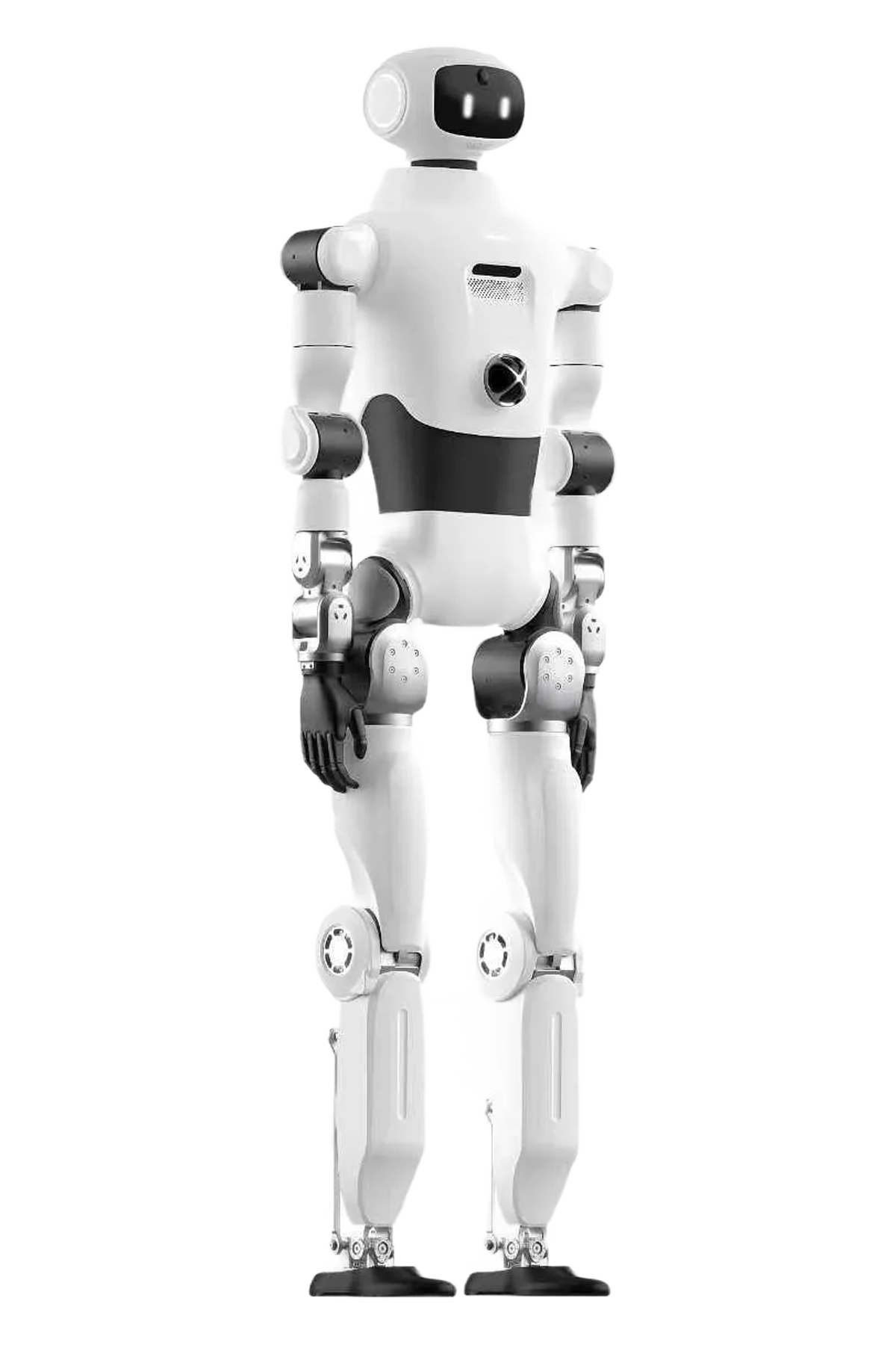  BOT LX