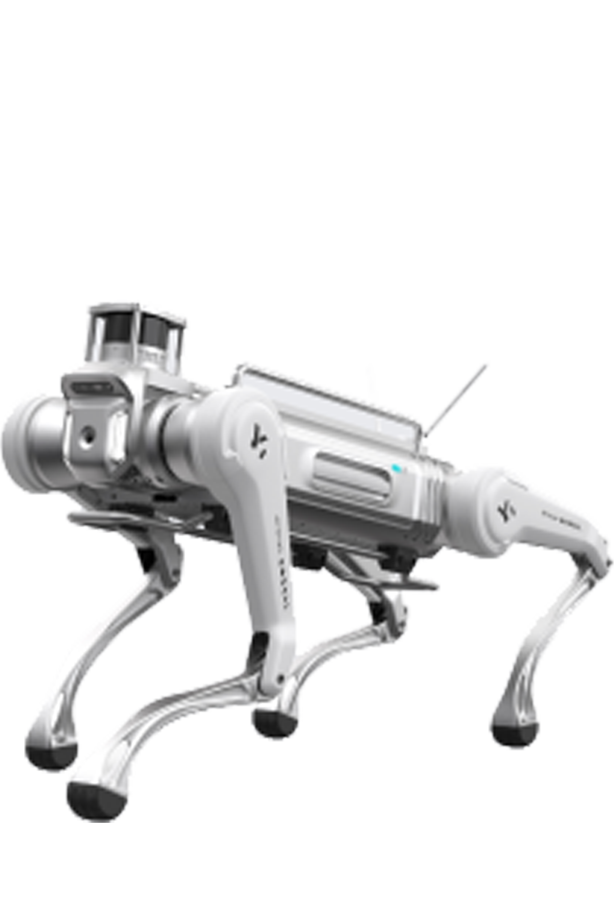  MagicDog Y1
