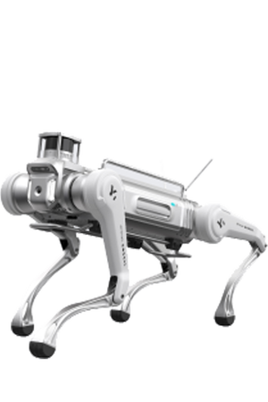 MagicDog Y1