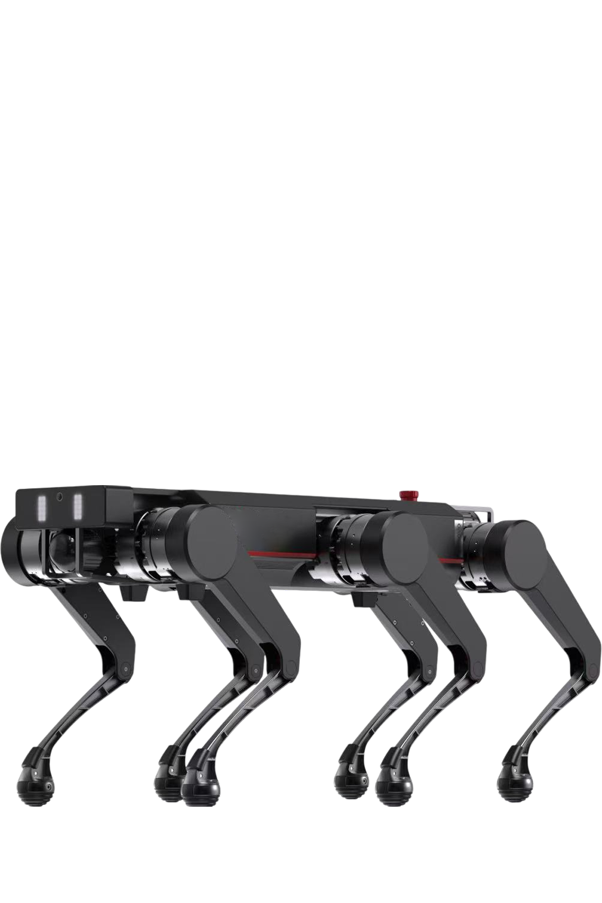  BOT IS