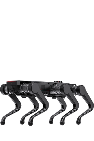 BOT GS