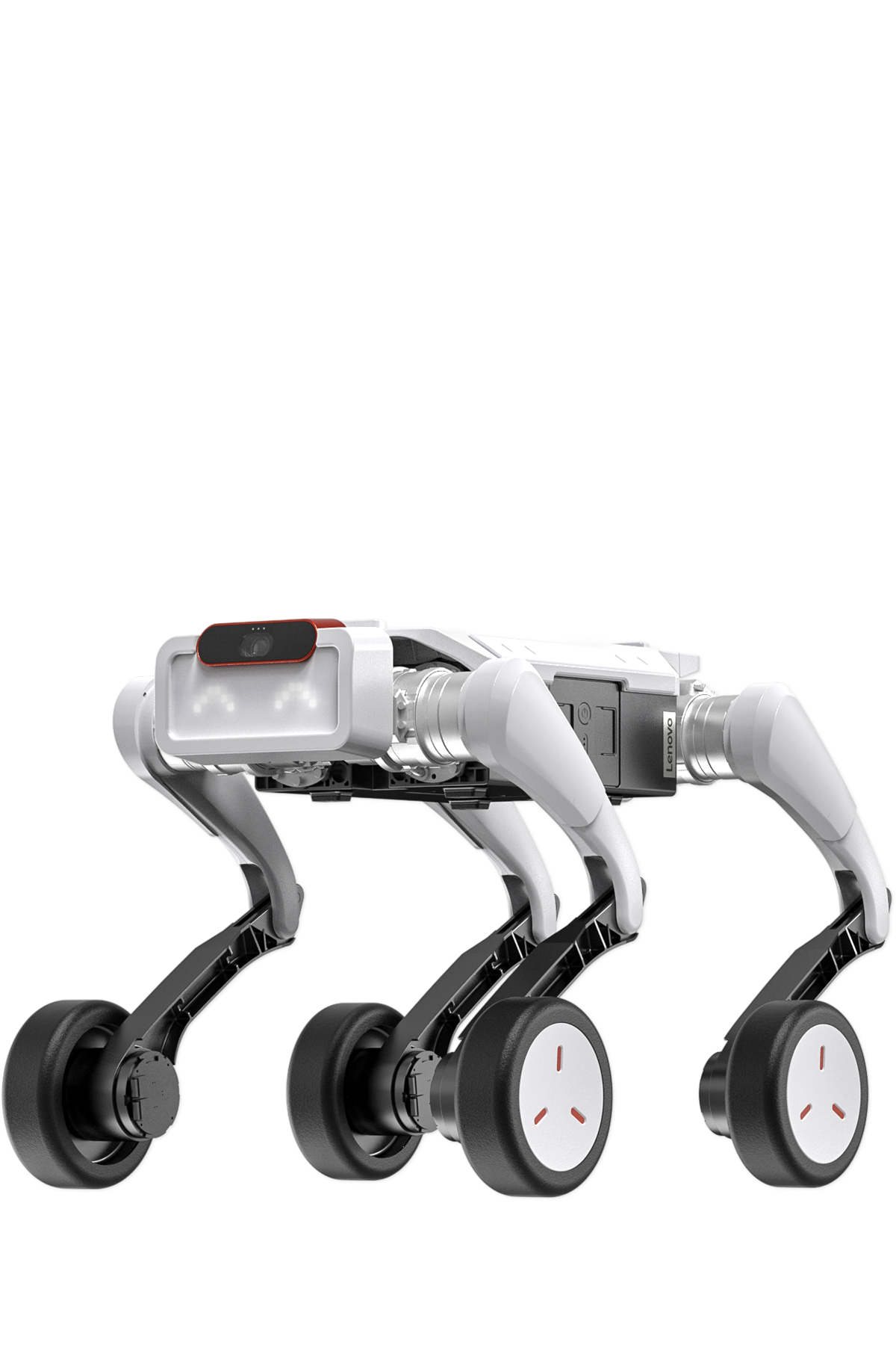  BOT MC