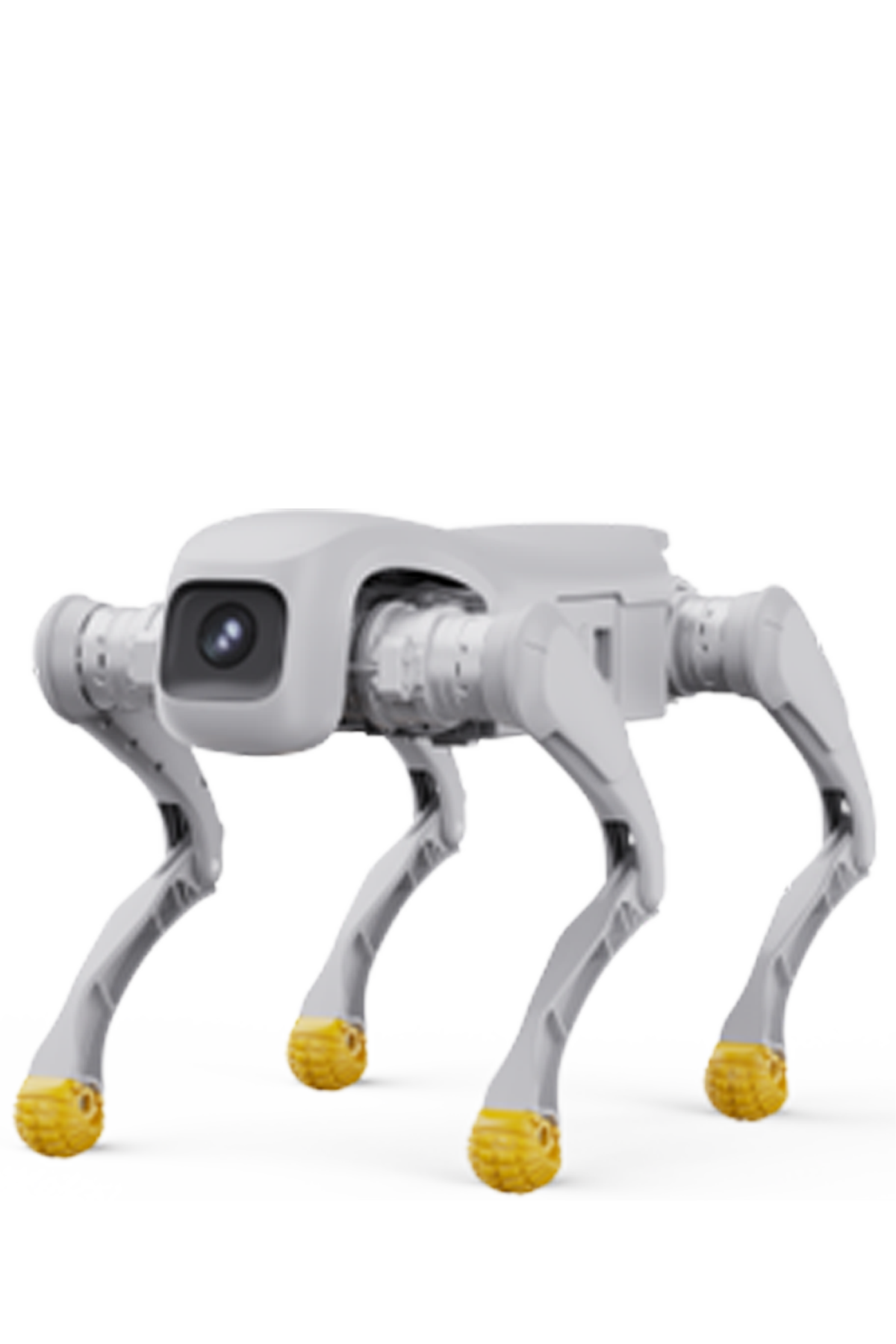  D1 Pro/Edu