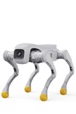 D1 Pro/Edu