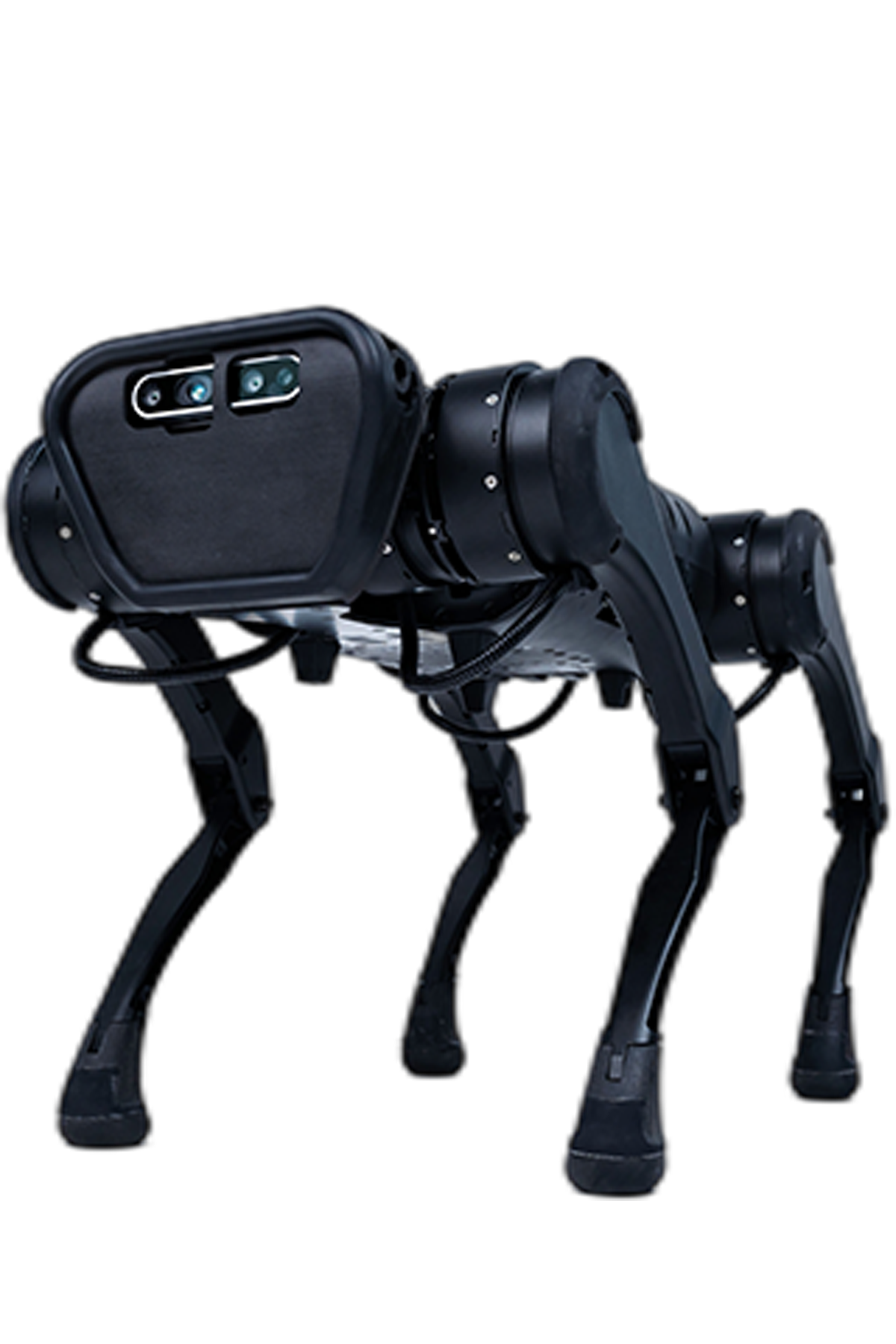  A1