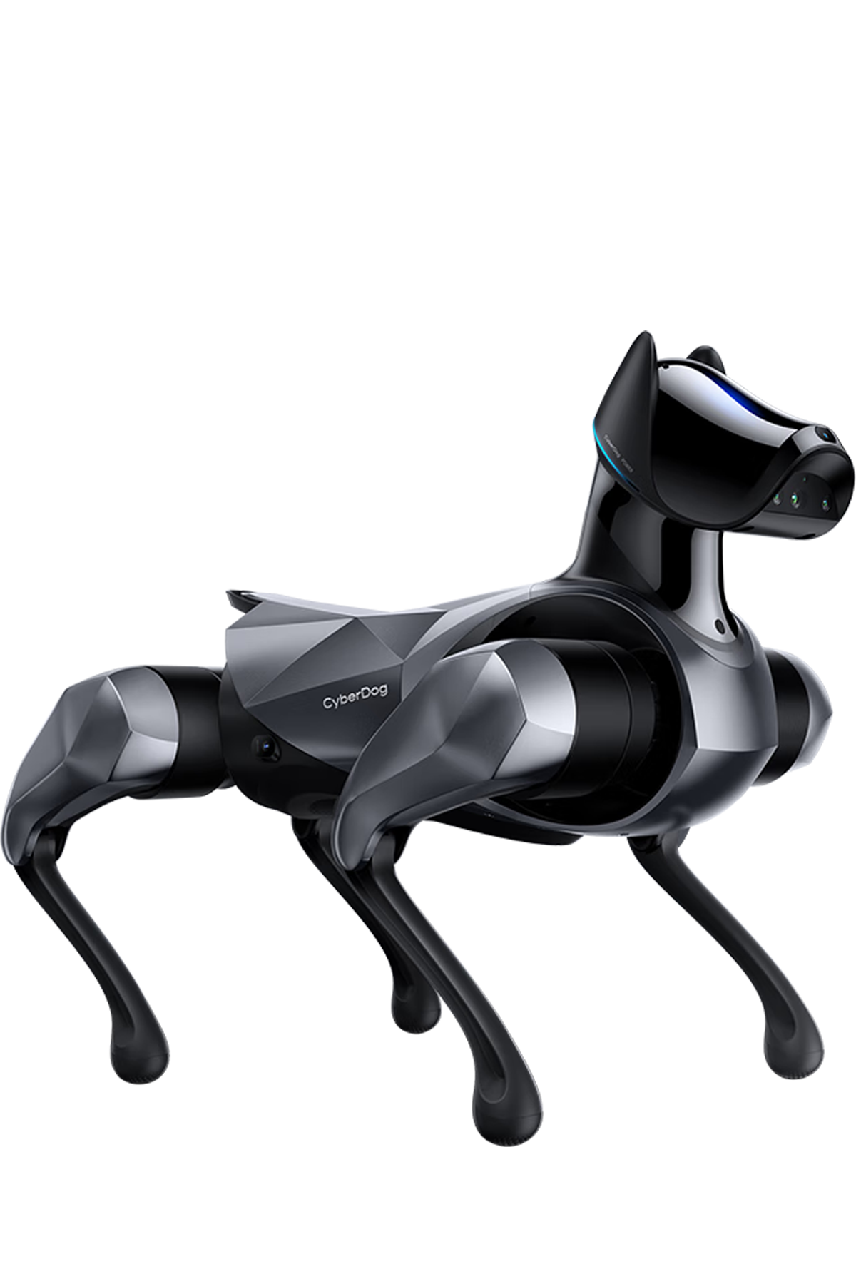  CyberDog 2