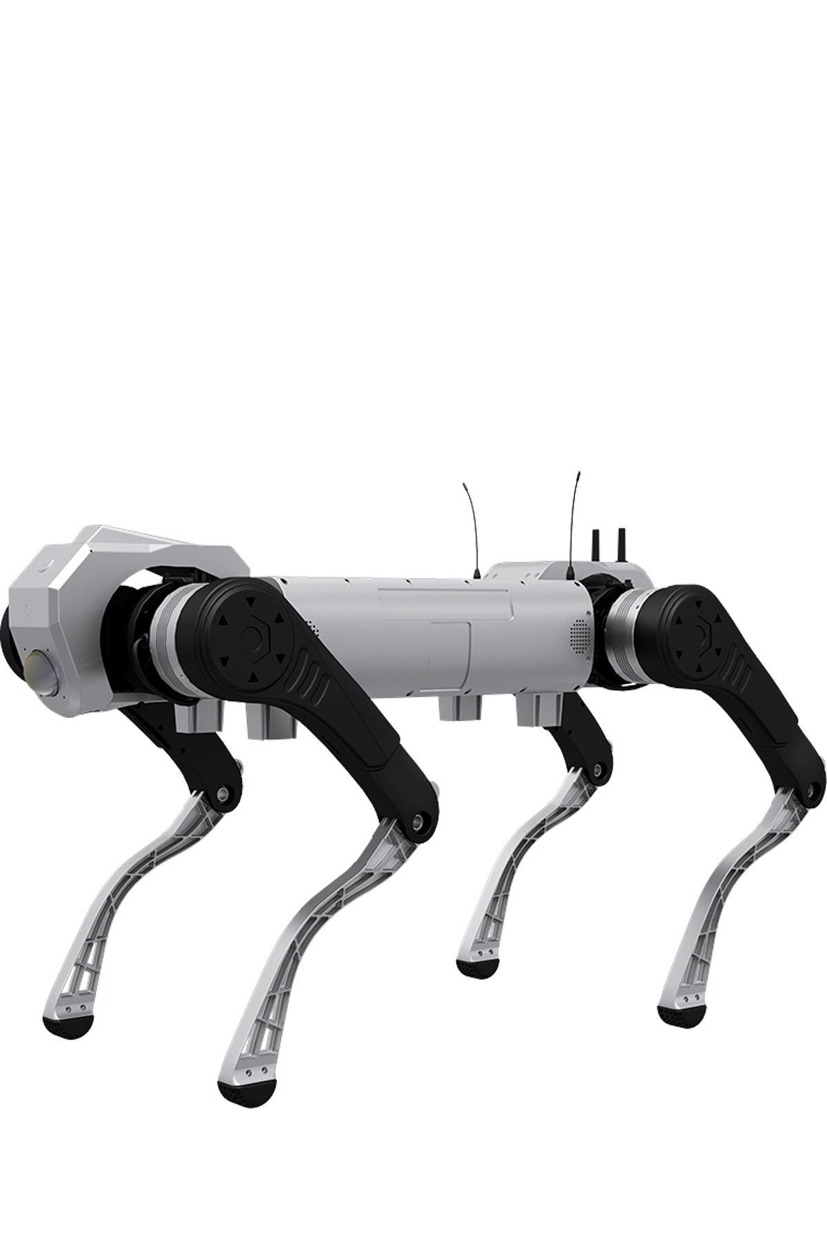  D1 MaxPro