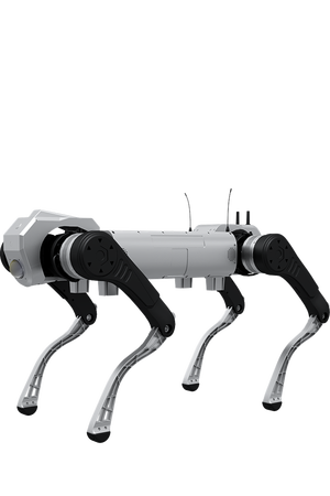 D1 MaxPro