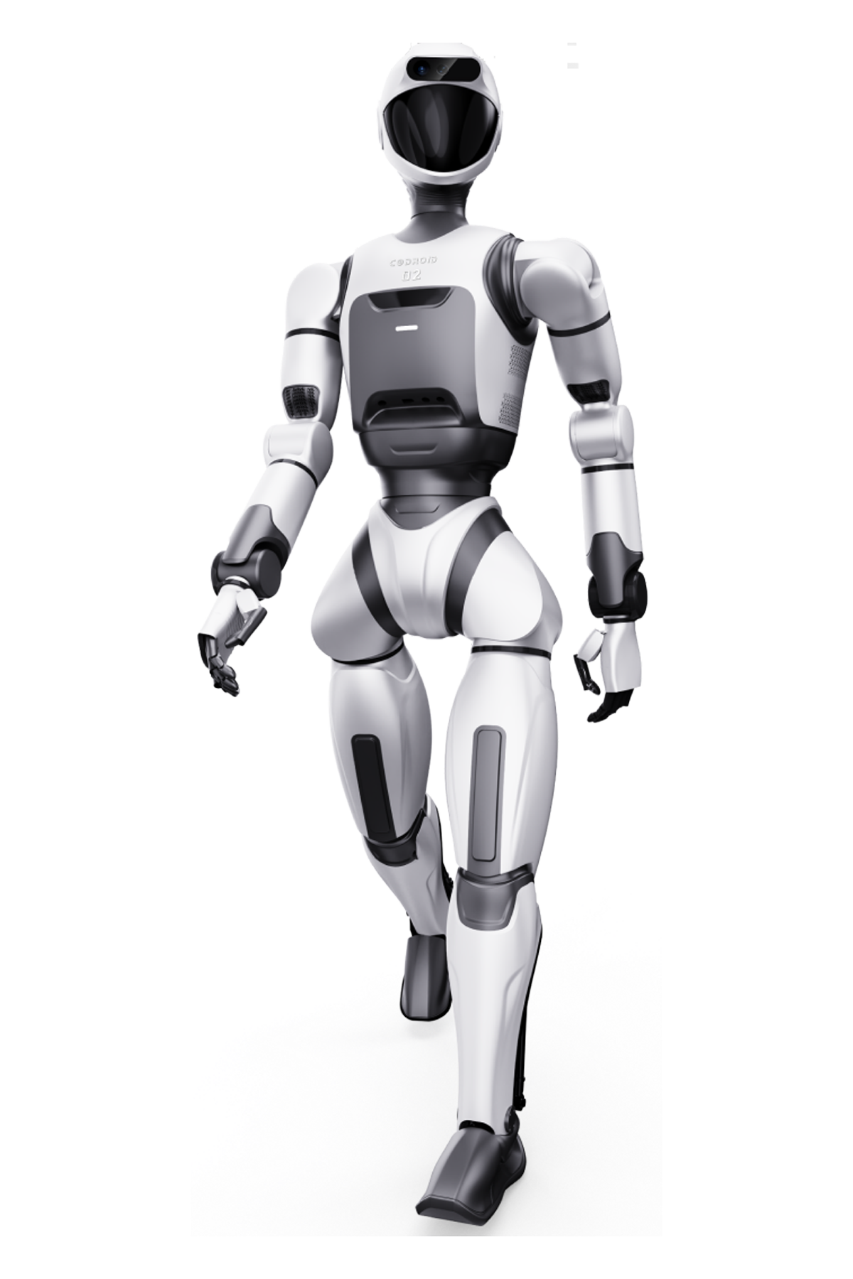  CODROID 02