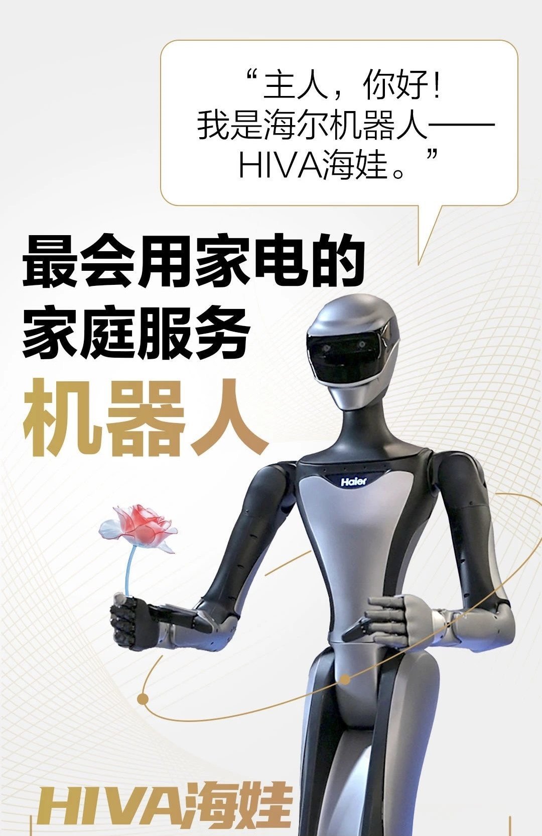  HIVA 海娃