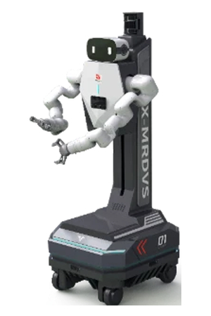 VB1