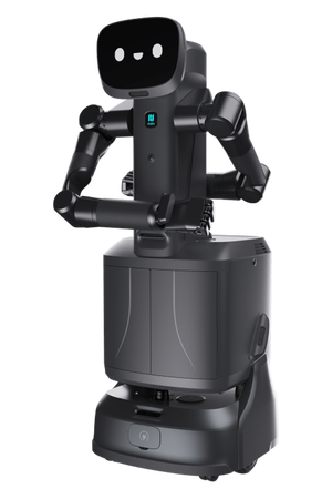 闪电匣Arm