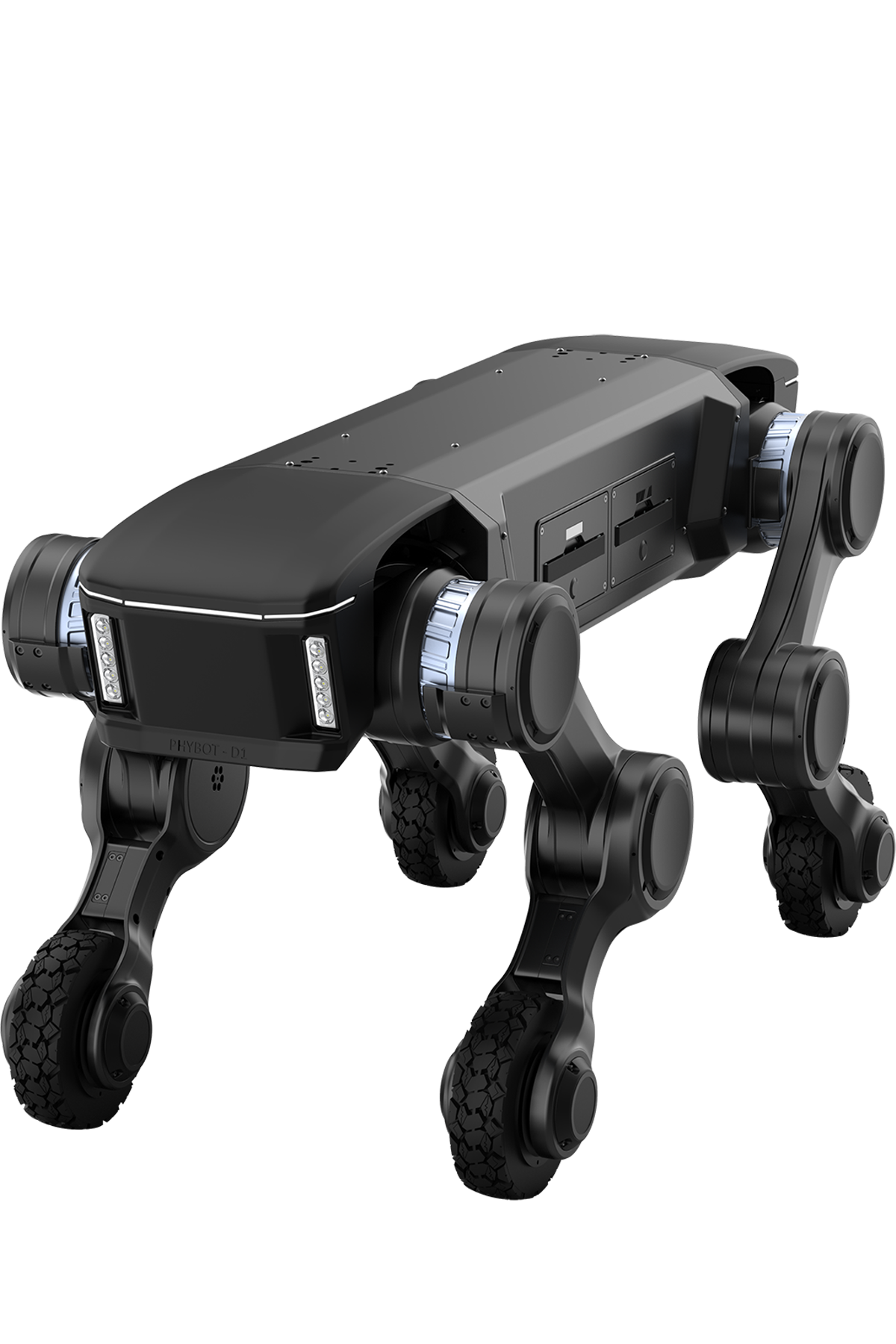  PHYBOT D1