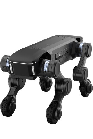 PHYBOT D1