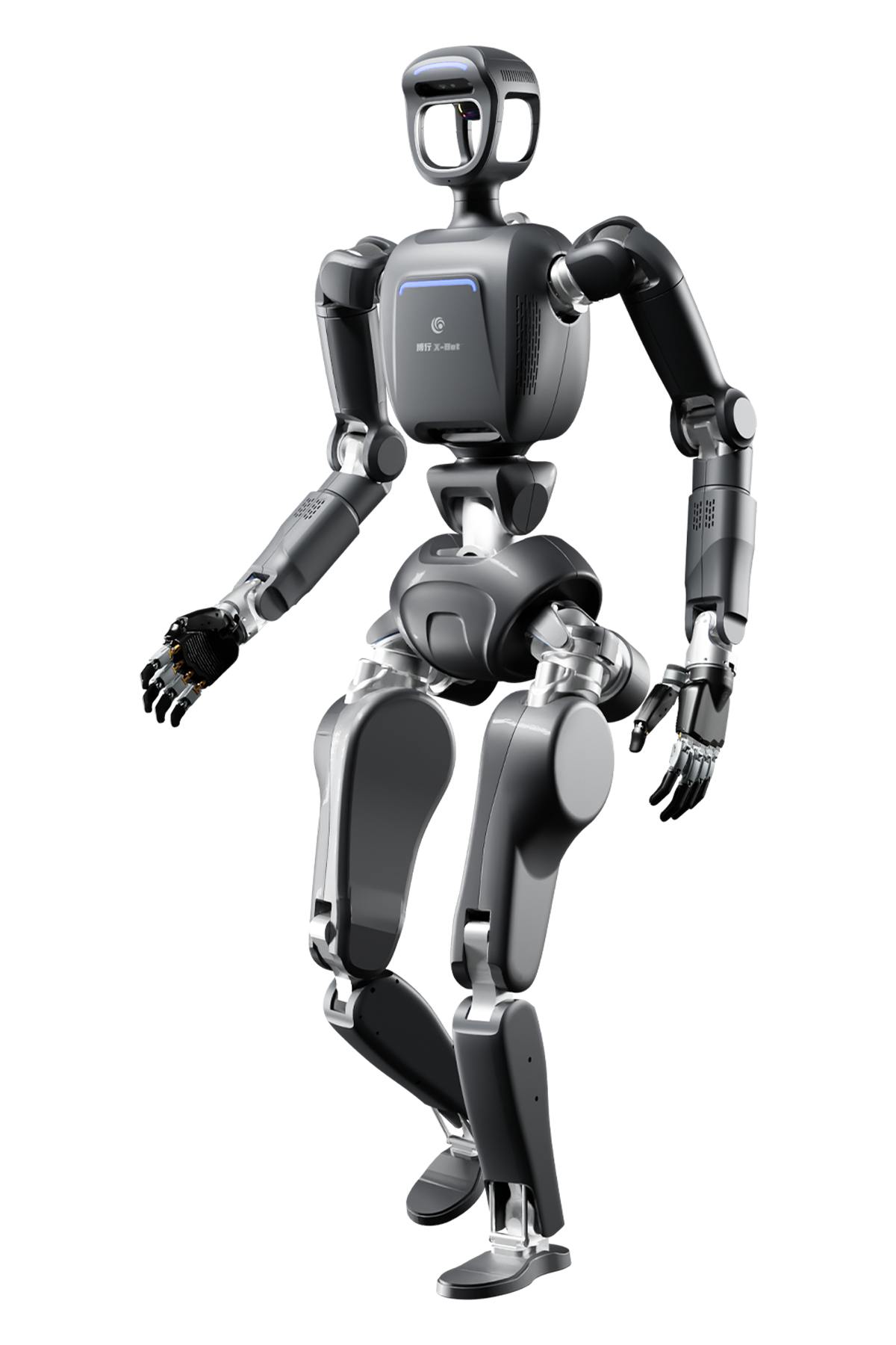 X-Bot