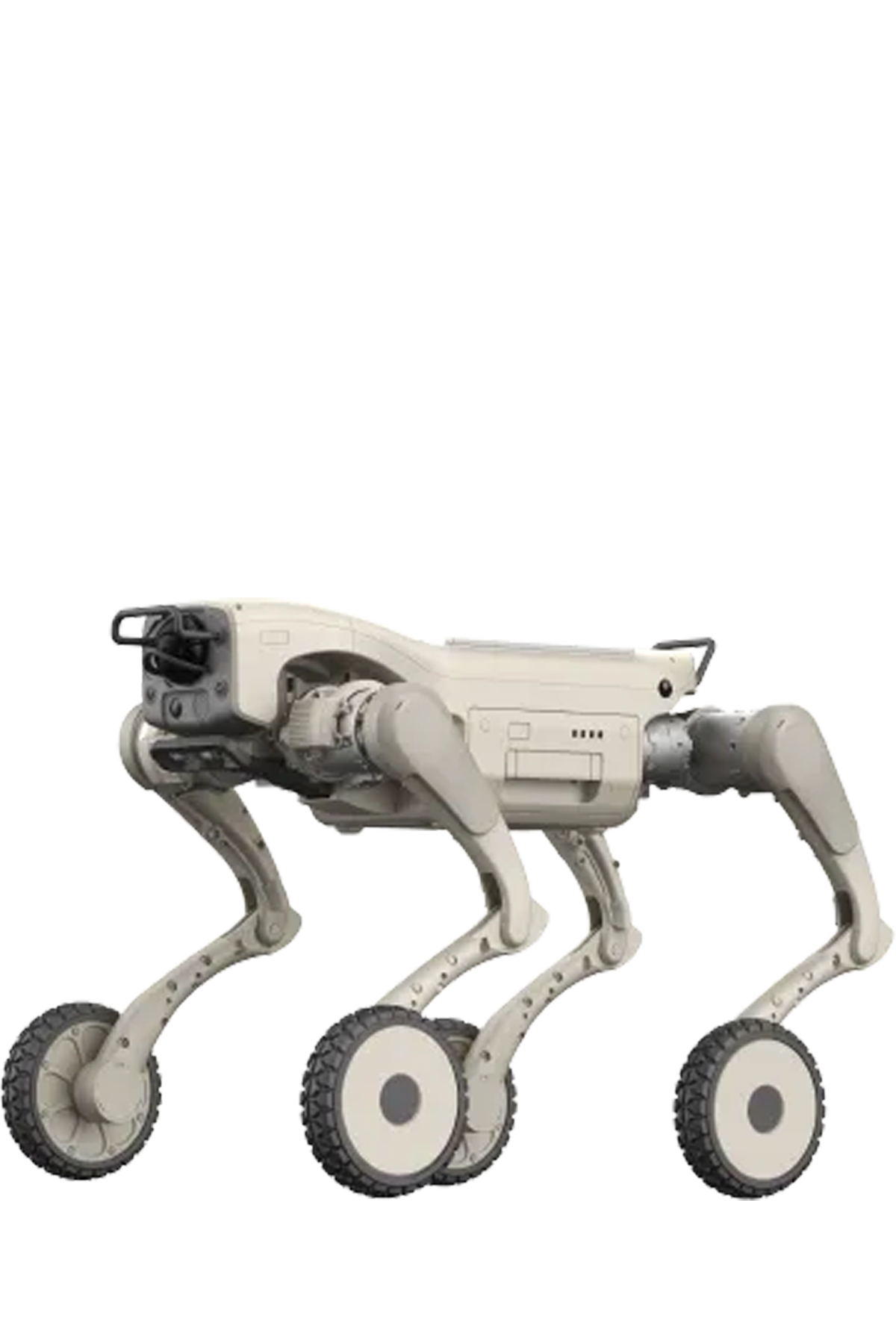  钢镚 L2