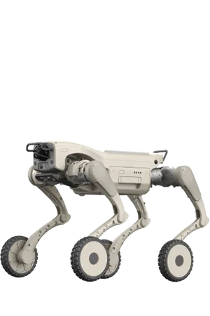 钢镚 L2