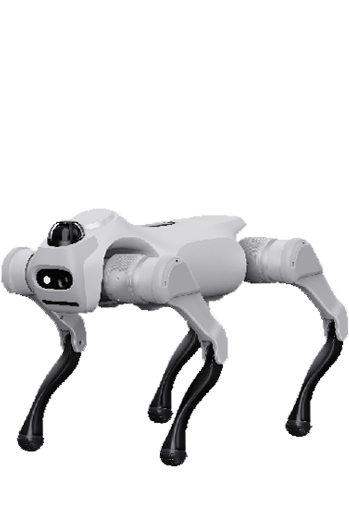  MagicDog T1