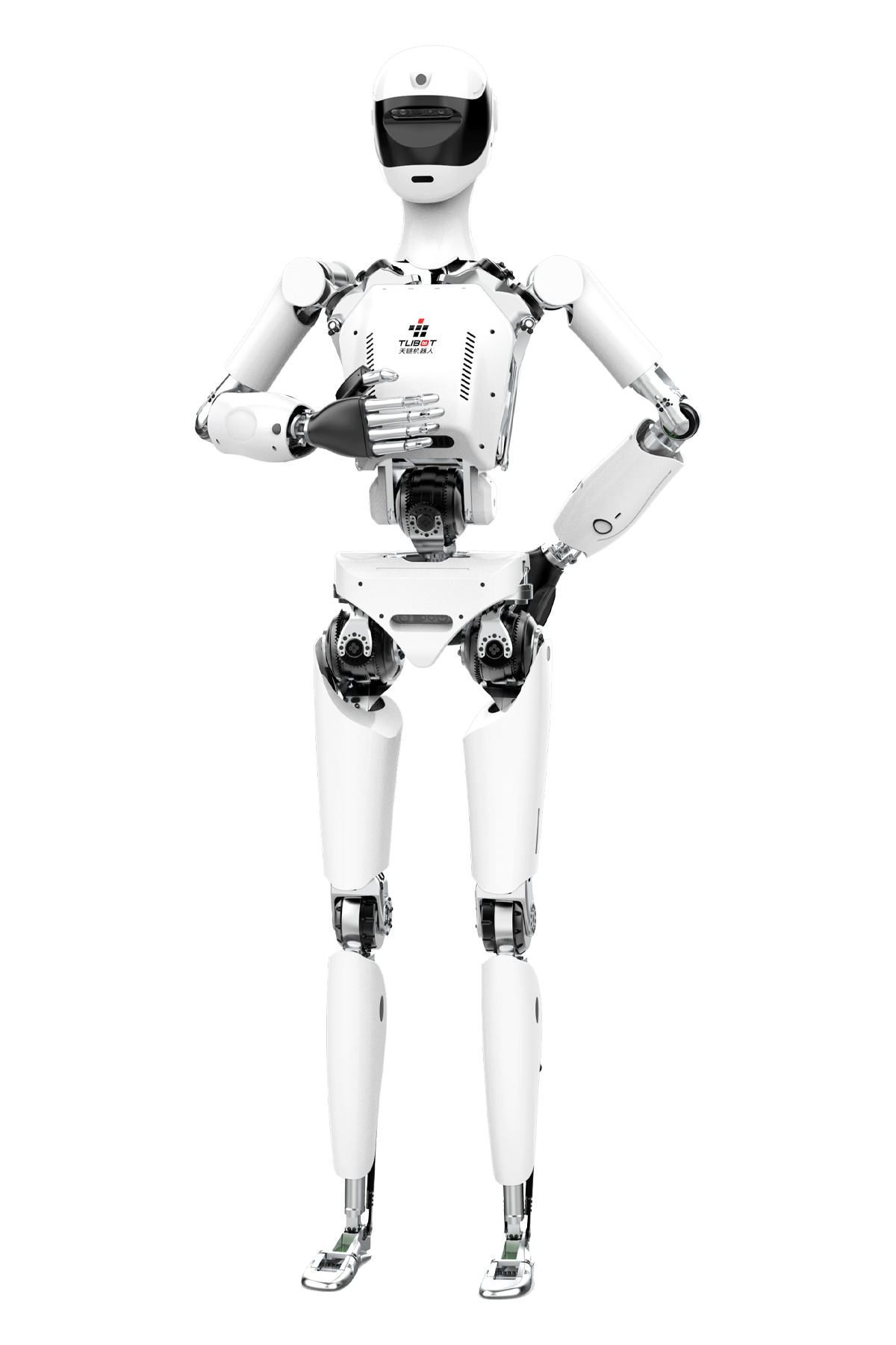  T1