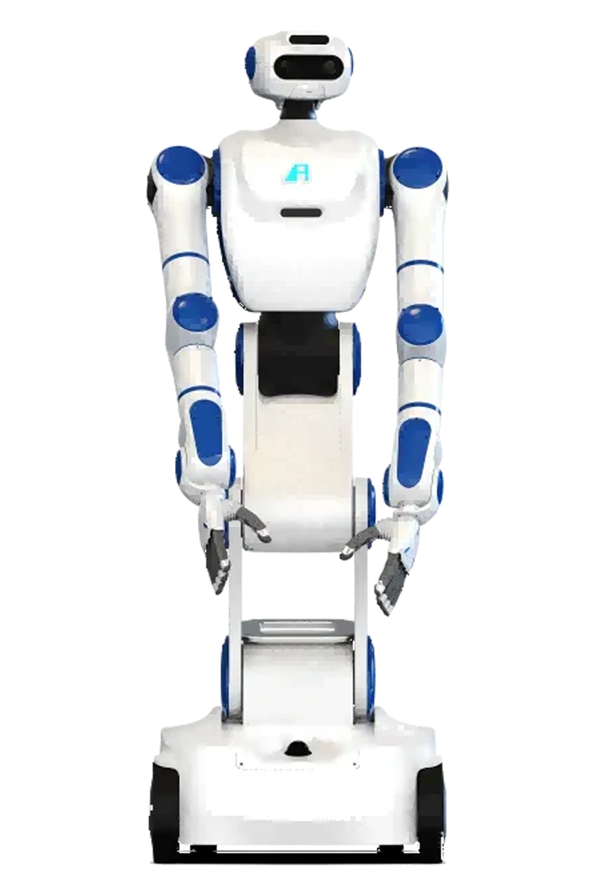  Sailor R1