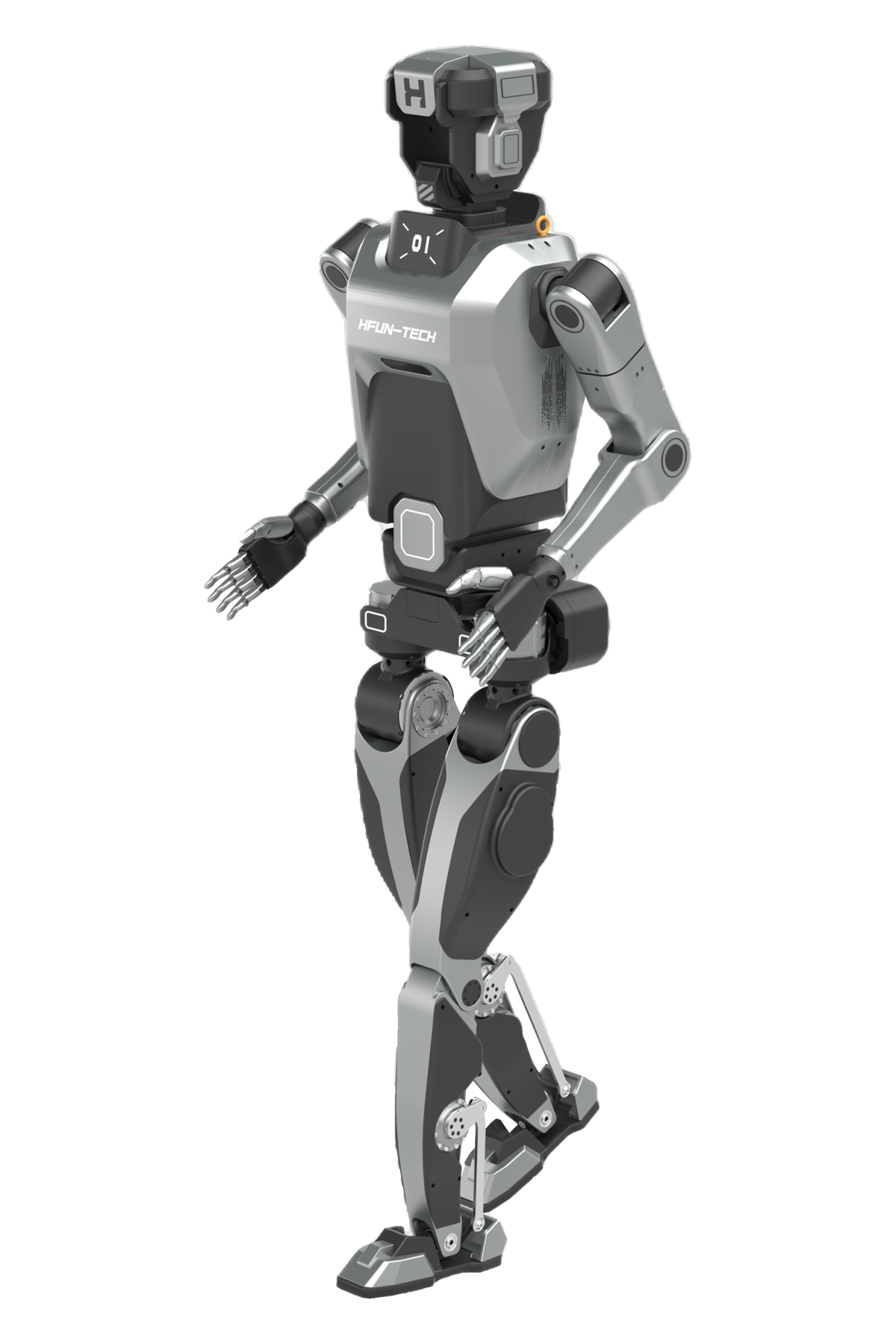  HM01