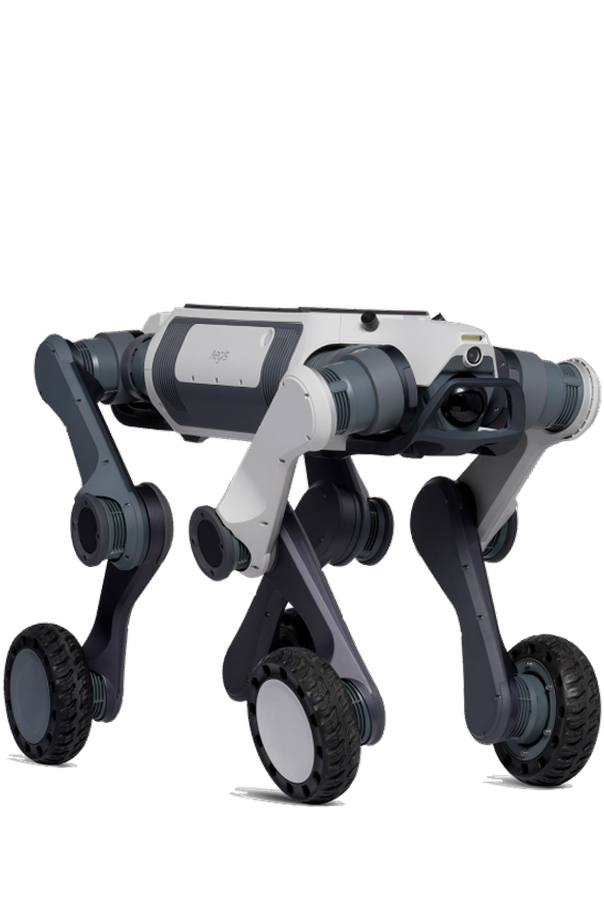  Aegis Mega D
